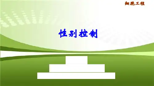 4.6性别控制