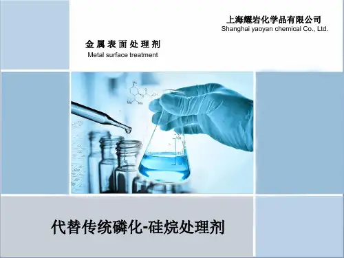硅烷 前处理2016