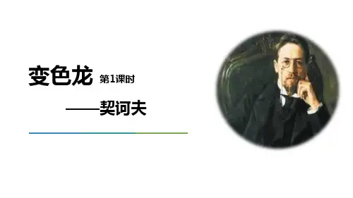 部编版九年级下册语文《变色龙》PPT课件