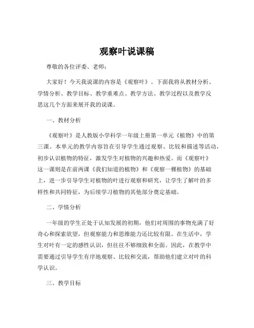 观察叶说课稿