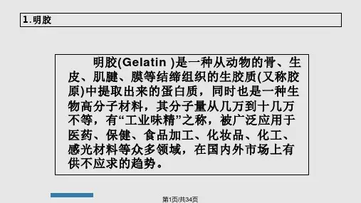 明胶PPT课件