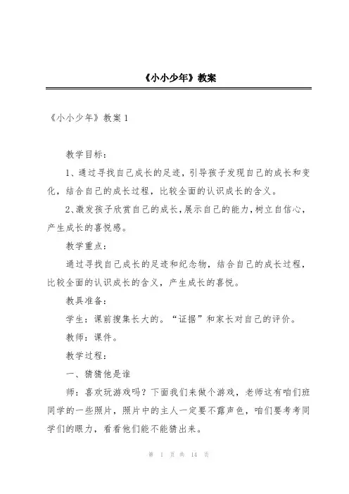 《小小少年》教案