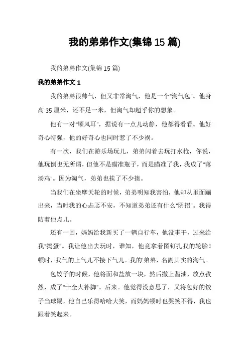 我的弟弟作文(集锦15篇)