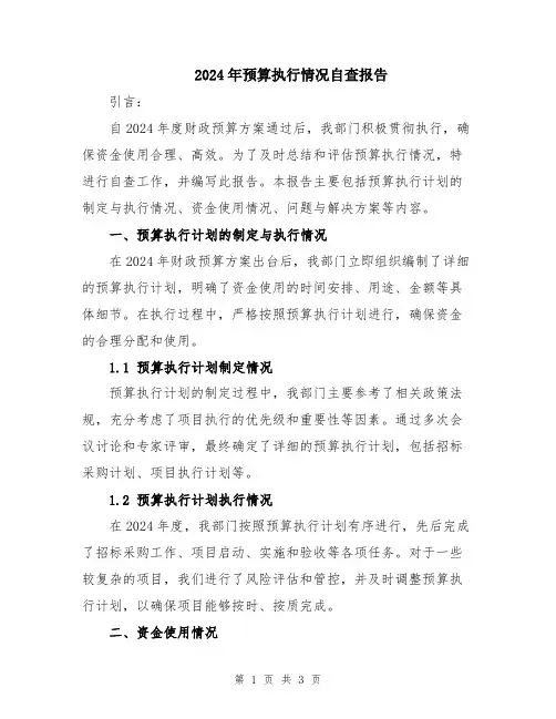 2024年预算执行情况自查报告