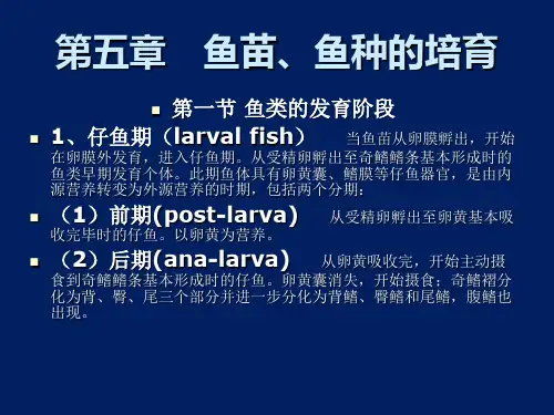 鱼类增养殖课件  第五章鱼类的苗种培育