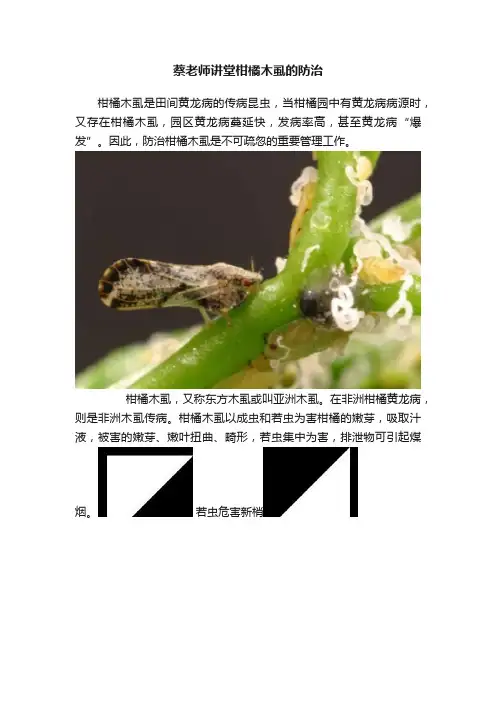 蔡老师讲堂柑橘木虱的防治