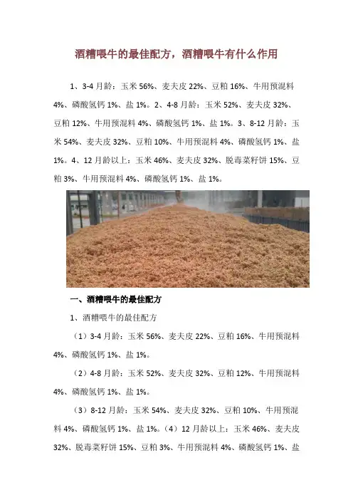酒糟喂牛的最佳配方,酒糟喂牛有什么作用