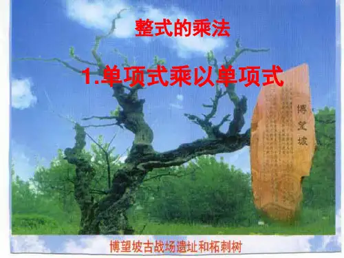 【数学课件】单项式乘以单项式