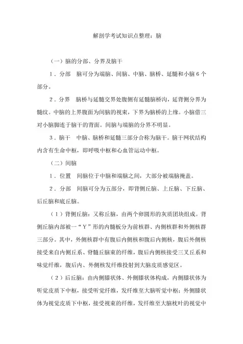 解剖学考试知识点整理：脑