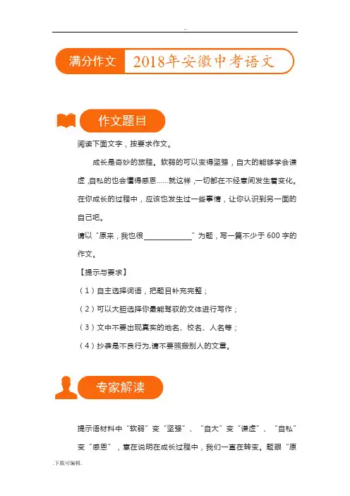 2018年安徽中学考试语文满分作文