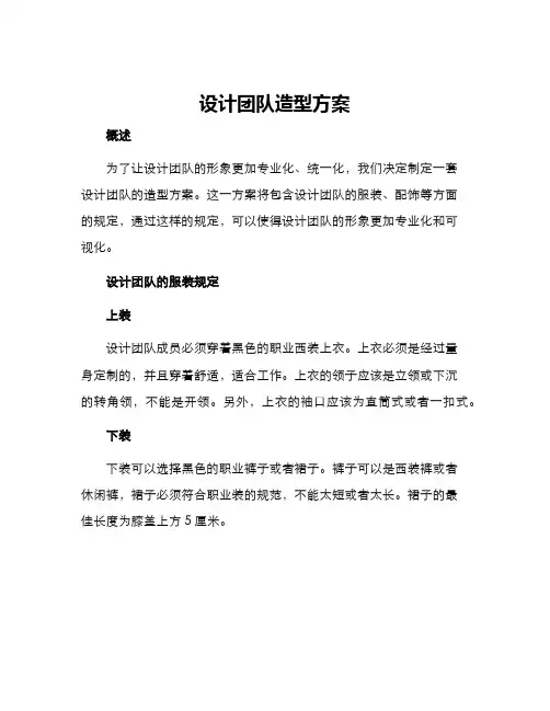 设计团队造型方案