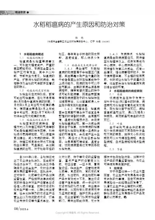 水稻稻瘟病的产生原因和防治对策