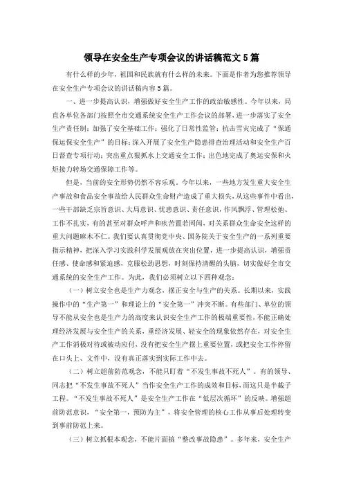 领导在安全生产专项会议的讲话稿范文5篇