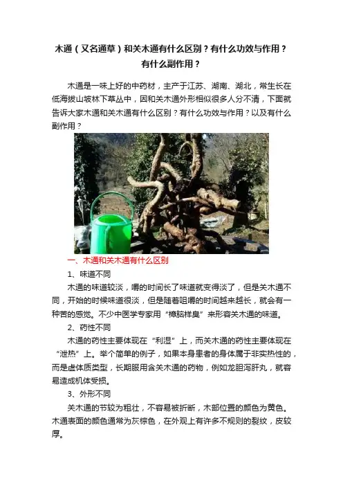 木通（又名通草）和关木通有什么区别？有什么功效与作用？有什么副作用？