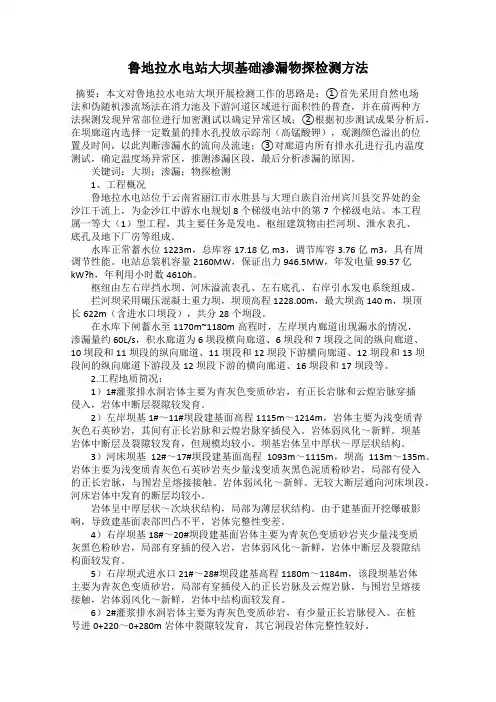 鲁地拉水电站大坝基础渗漏物探检测方法