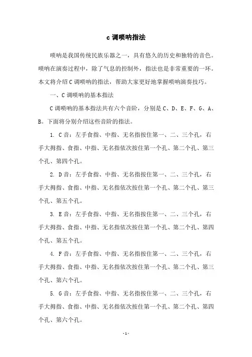 c调唢呐指法