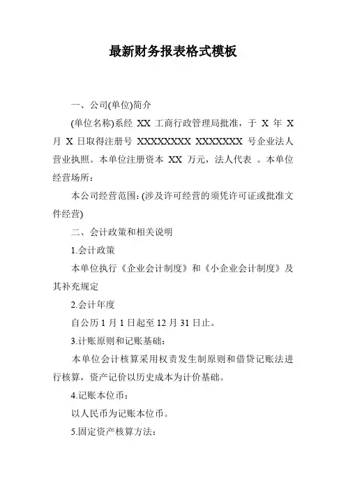 最新财务报表格式模板