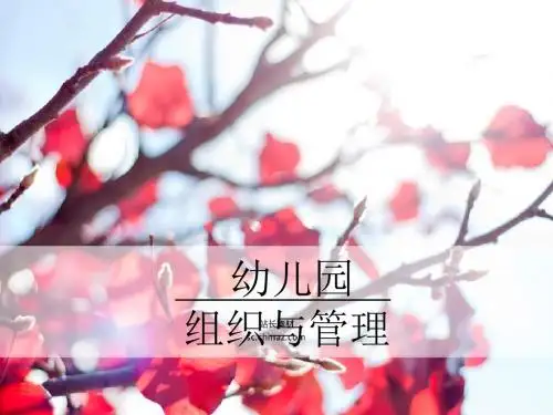 幼儿园组织与管理PPT课件