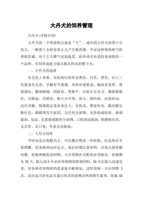 大丹犬的饲养管理