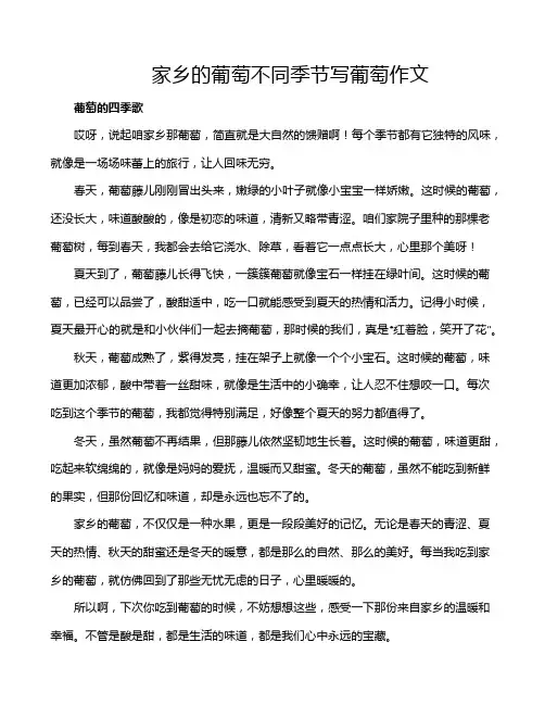 家乡的葡萄不同季节写葡萄作文