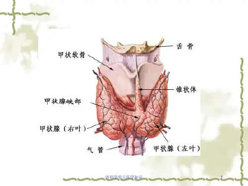 内科学甲亢医学知识培训课件