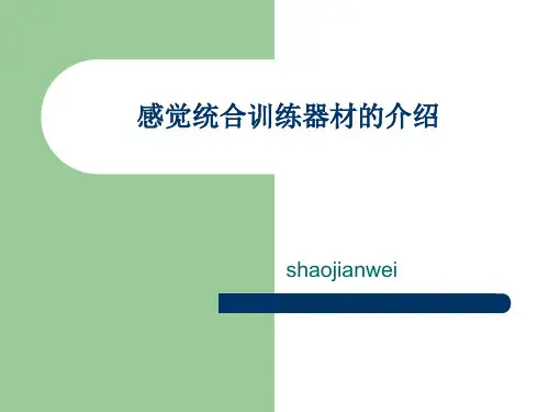 感统器材的作用与运用.