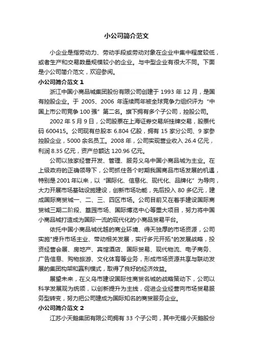 小公司简介范文