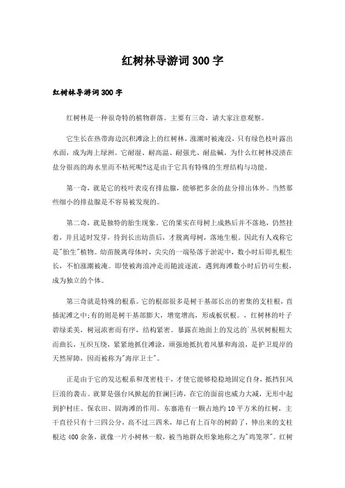 红树林导游词300字