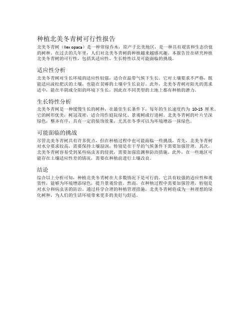 种植北美冬青树可行性报告