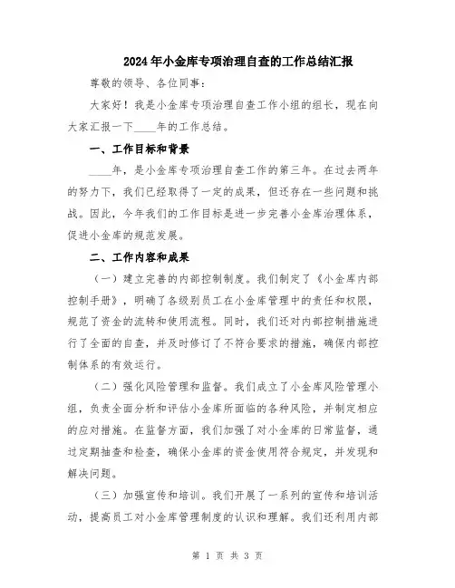 2024年小金库专项治理自查的工作总结汇报
