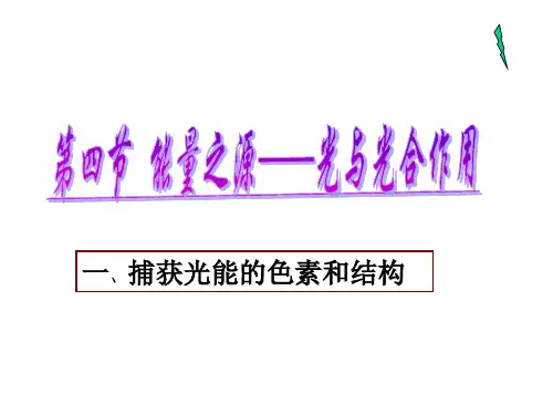 人教版高中生物必修1第五章捕获光能的色素和结构(共35张PPT)