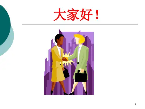 审计准则和审计依据ppt