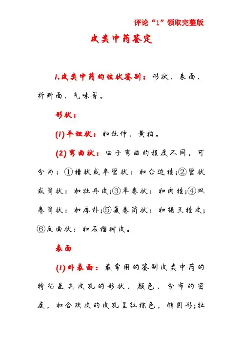 皮类中药鉴定