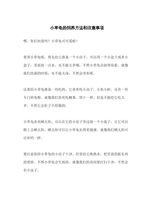 小草龟的饲养方法和注意事项