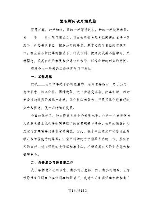 置业顾问试用期总结(3篇)