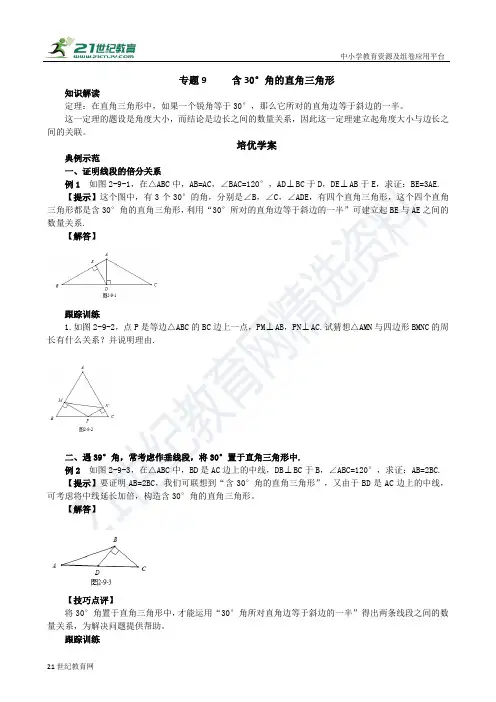 专题9 含30°角的直角三角形（含答案）