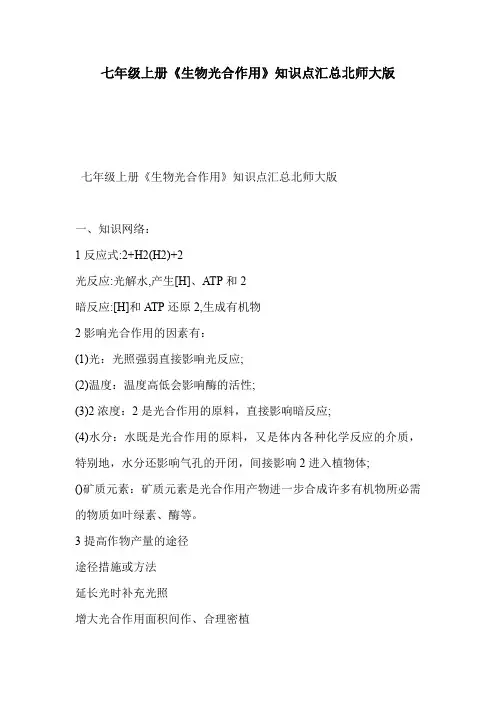 七年级上册《生物光合作用》知识点汇总北师大版