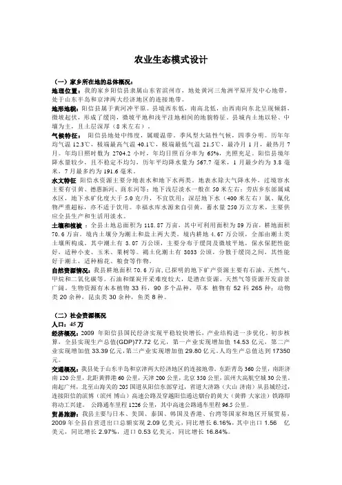 农业生态模式设计