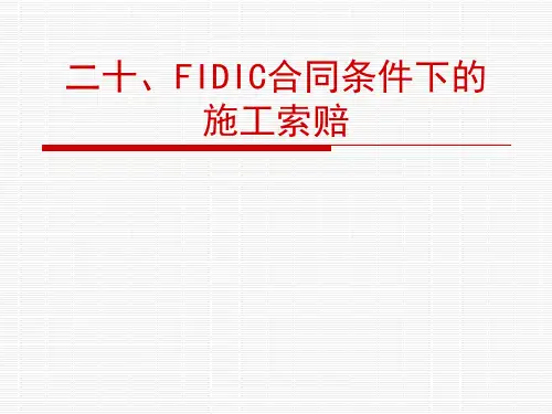 二十、FIDIC合同条件