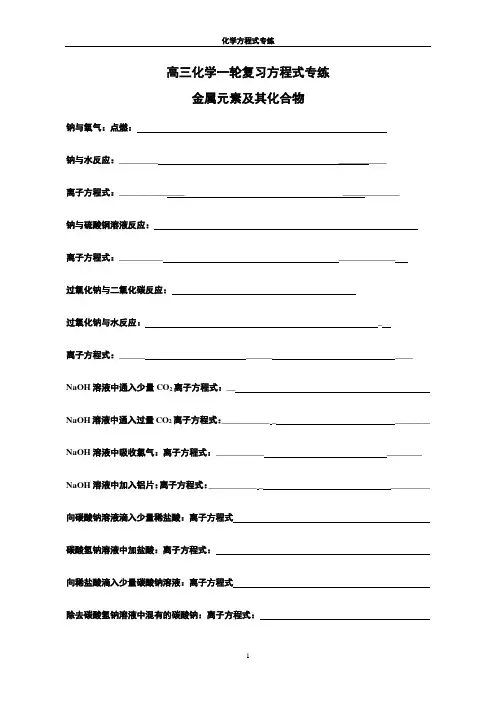 高三化学第一轮复习方程式专练----金属元素及其化合物