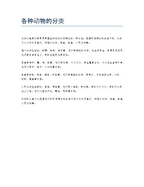 各种动物的分类