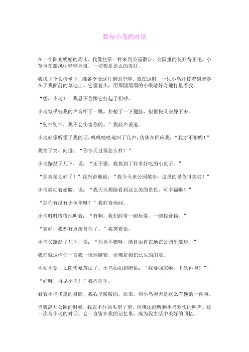 我与小鸟的对话