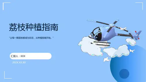 荔枝怎么种ppt