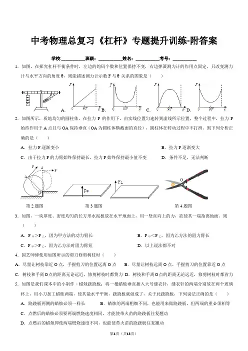 中考物理总复习《杠杆》专题提升训练-附答案