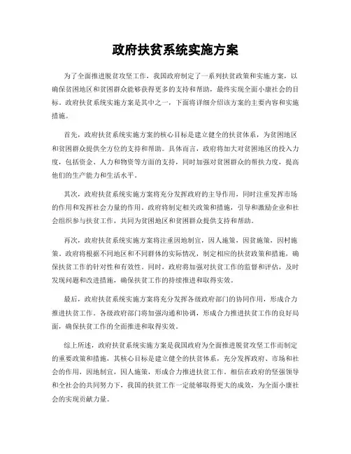 政府扶贫系统实施方案