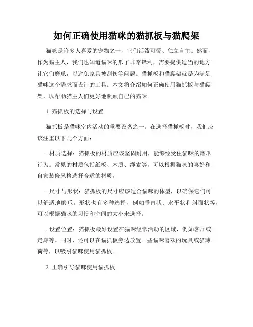 如何正确使用猫咪的猫抓板与猫爬架