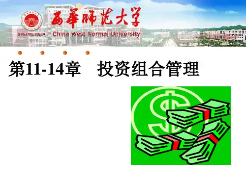 证券风险与组合理论概述(PPT 46页)