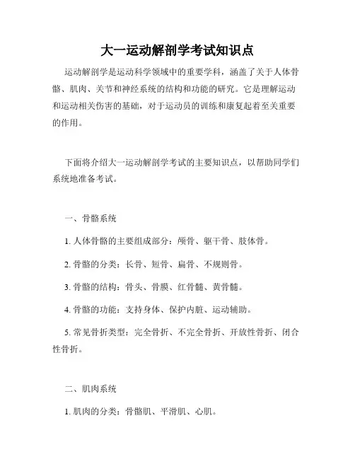 大一运动解剖学考试知识点