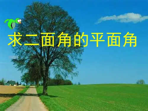 求二面角的平面角PPT教学课件
