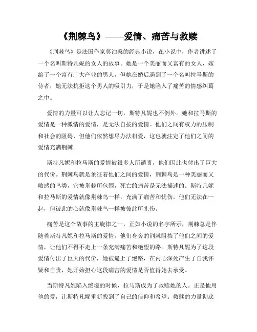 《荆棘鸟》——爱情、痛苦与救赎